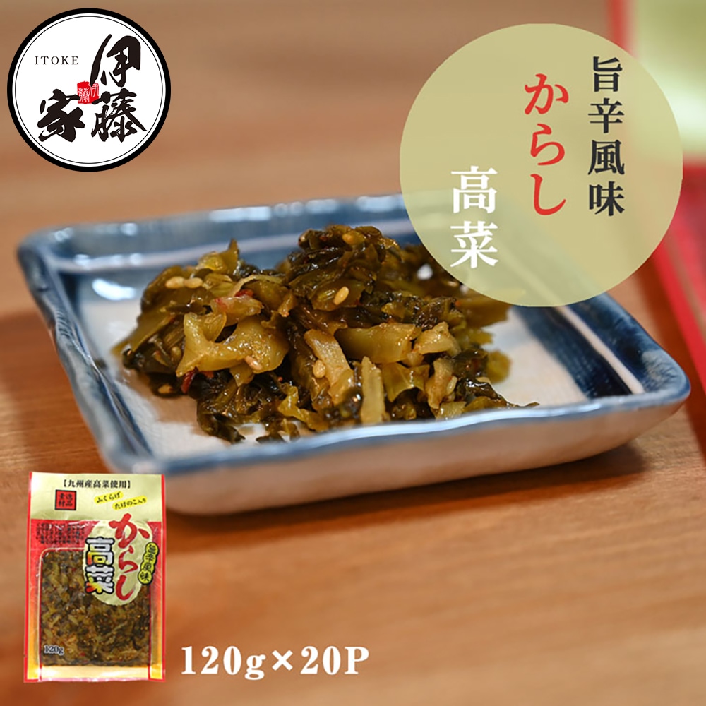 高菜漬け 高菜油炒め 高菜漬け 高菜漬 高菜 国産 旨辛からし高菜 120g 20P 漬物 漬け物 山くらげ たけのこ入り 辛子高菜 熟成高菜 乳酸発酵 香ばしい 九州の家庭の味 九州名