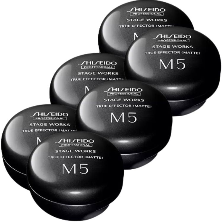 6個セット 資生堂プロフェッショナル ステージワークス トゥルーエフェクター (マット) 80g 超ハード スタイリング剤