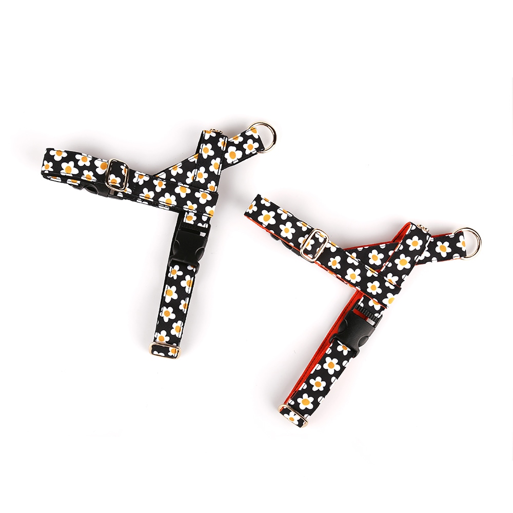 Daisy Easy Harness Wide Black/Orange