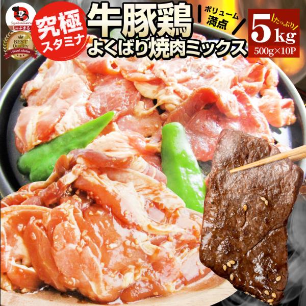 焼肉 ざんまい 牛豚鶏よくばり焼肉ミックス 5kg(500g×10) おトク お徳用 送料無料 肉 通販 お取り寄せ グルメ アウトドア お家焼肉 レジャー 送料無料