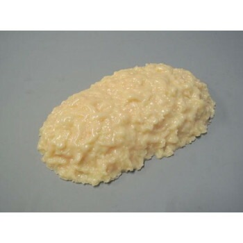 脂肪模型　2kg　IP-971