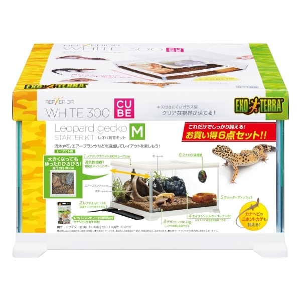 レオパ飼育キットM