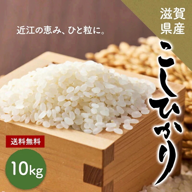 【クーポン利用でお得に購入!!】コシヒカリ 10kg 滋賀県産 米 お米 こめ 令和7年度米 受注精米 精米 白米 滋賀県産コシヒカリ 米10キロ こしひかり ギフト 贈答 お中元 お歳暮 贈り物