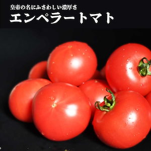 【常温便】佐賀県産 エンペラースーパーレッド 1キロ 12-20玉 化粧箱 高糖度 コク旨トマト