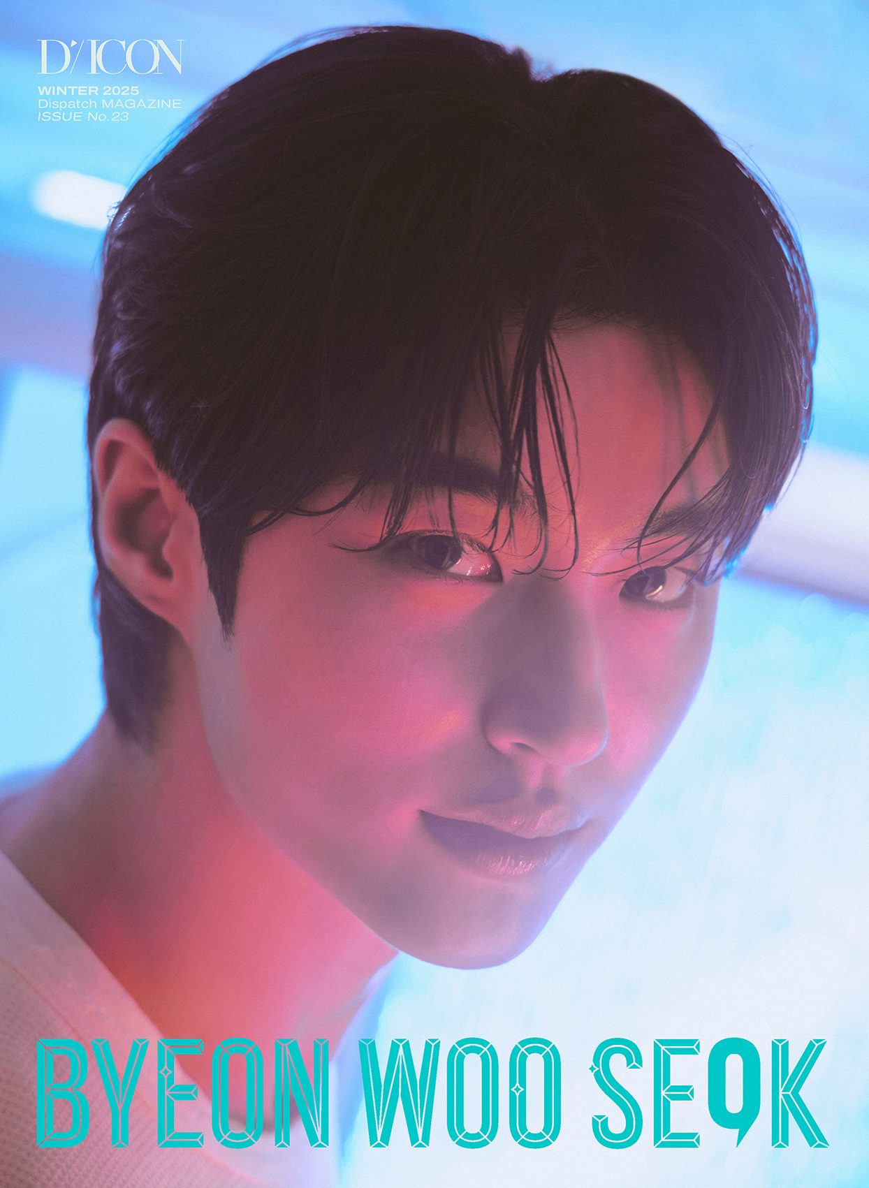 【未開封新品】DICON VOLUME No 23 ダイコン 変ウ石 Dタイプ