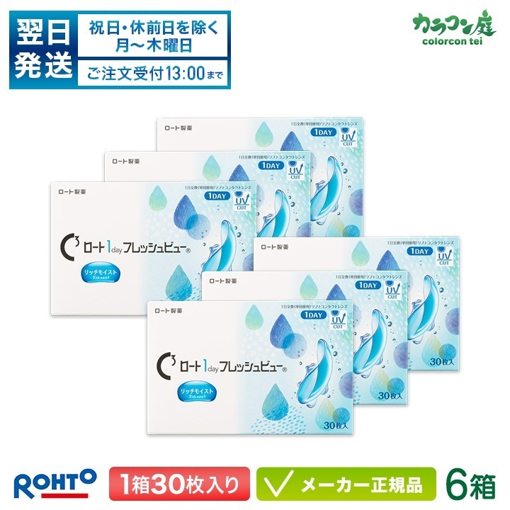 【翌日発送】ロート ワンデーフレッシュビュー リッチモイスト 6箱セット(1箱30枚入り)両眼約3ヶ月分(ロート 1日使い捨て コンタクト Rohto 1day 高含水率)