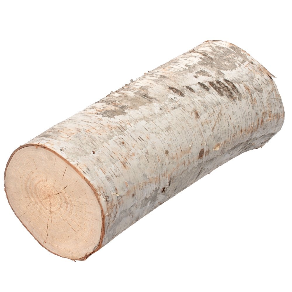 国産　しらかばの丸太　１本　ＣＲＣ55―70―20―00―00