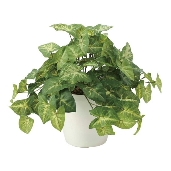 アートクリエイション 643A50 フレッシュカラージューム メーカー直送