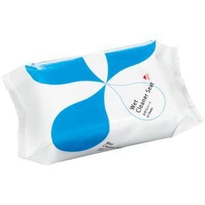 （まとめ） TANOSEE おそうじシート スタンダード 1パック（40枚） [x10セット]