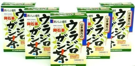 山本漢方 ウラジロガシ茶 100% 5g×20包入 x 5セット 5個