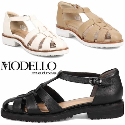 越前白山神社図】敦史 994 福井県 平泉寺白山神社 共箱二重箱 掛け軸