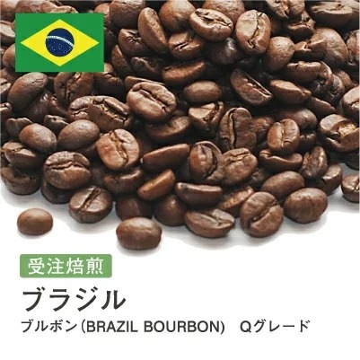 受注焙煎！2kg ブラジル ブルボン（BRAZIL BOURBON) Qグレード ニュークロップ [選べる焙煎度合い] コーヒー豆 大山珈琲 業務用 自家焙煎 卸