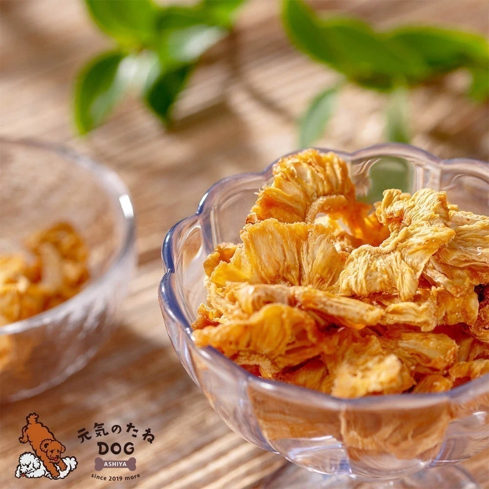 犬 おやつ 砂糖不使用 無添加 ドライフルーツ パイナップル 1kg パイン 犬のおやつ 果物 フルーツ いぬ ねこ ご褒美 しつけ おやつ プレゼント