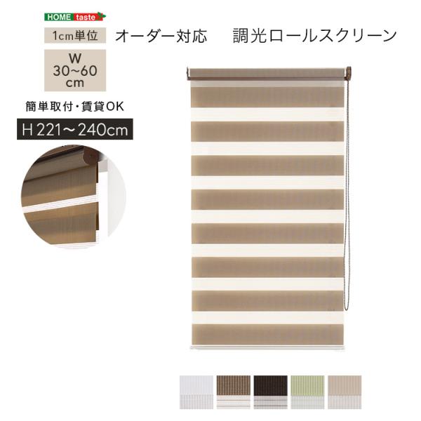 ロールスクリーン 調光 取付簡単 賃貸物件対応 目隠し おしゃれ カーテン ブラインド 1cm単位でオーダー可能 幅30～60cm×高さ221～240cm
