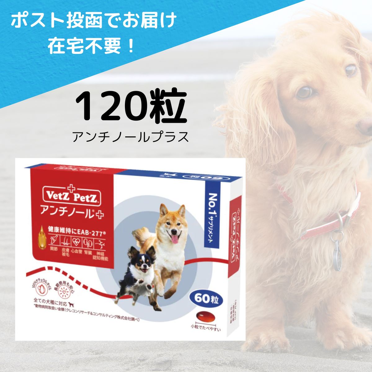 犬用品 アンチノール