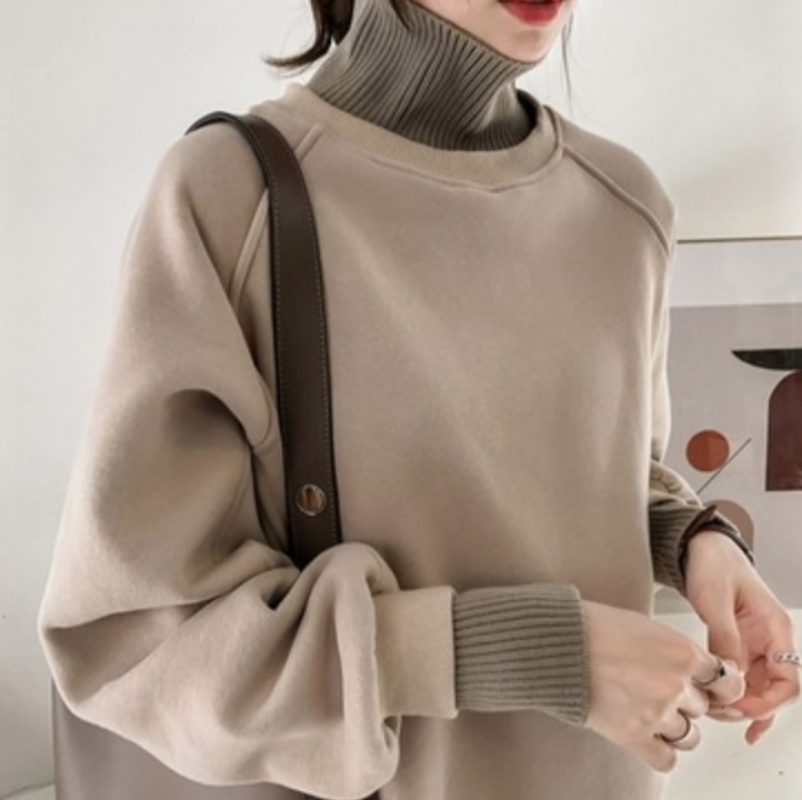 トップス デート プルオーバー 袖あり 長袖 タートルネック レディース 個性的 きれいめ シンプル カジュアル 上品 おしゃれ 主役級 存在感 冬 10代 20代 30代 学生 OL 公園