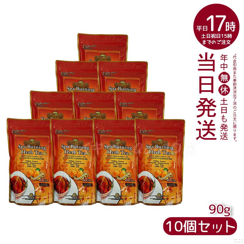 【10個セット】 エステプロラボ スパ バーニング ハーブティー プロ 3g30 代謝系 健康茶 Esthe Pro Labo