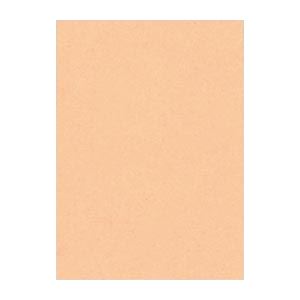 （まとめ） 文運堂 ニューカラーR 四ツ切 横392×縦542mm 4NCR-103 はだいろ 100枚入 (×2セット)