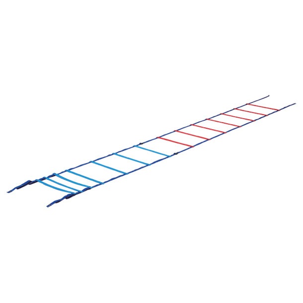 カラースピードラダー 学校機器 器具 (G1236)