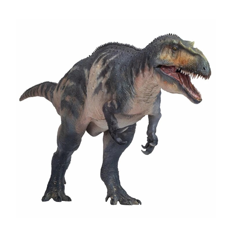 PNSO 成長シリーズ トルヴォサウルス メガロサウルス科 ジュラ紀後期 獣脚類 肉食 恐竜 動物 リアル フィギュア PVC おもちゃ 科学 芸術 模型 恐竜好き 誕生日 プレゼント塗装済 2