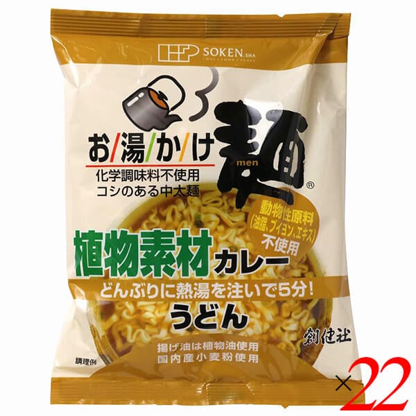 創健社 お湯かけ麺 植物素材カレーうどん 81g 22個セット