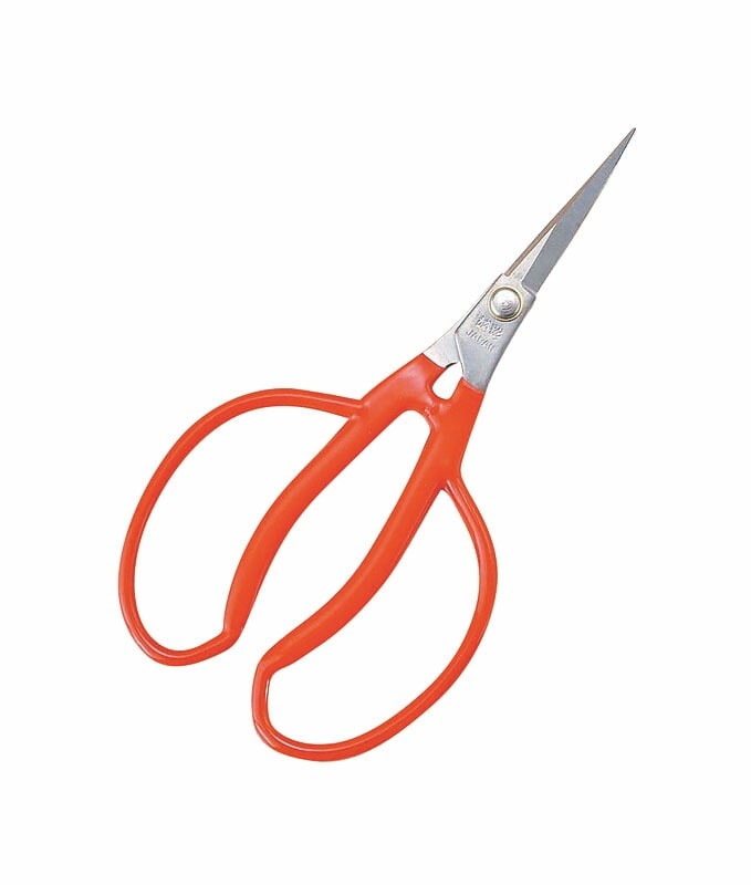 （まとめ買い）小林製鋏 K-14 ステンレスぶどう間引鋏 [xPP袋入] [x3]