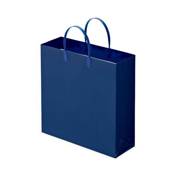 （まとめ） TANOSEE ラミネートバッグ 中 ヨコ320タテ320マチ幅110mm 紺 1パック（10枚） 10セット