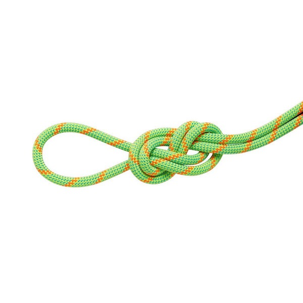 MAMMUT マムート 8.0 アルパイン ドライ ロープ 30m クライミング 201007060-9000