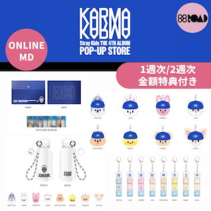 straykids karma skzoo