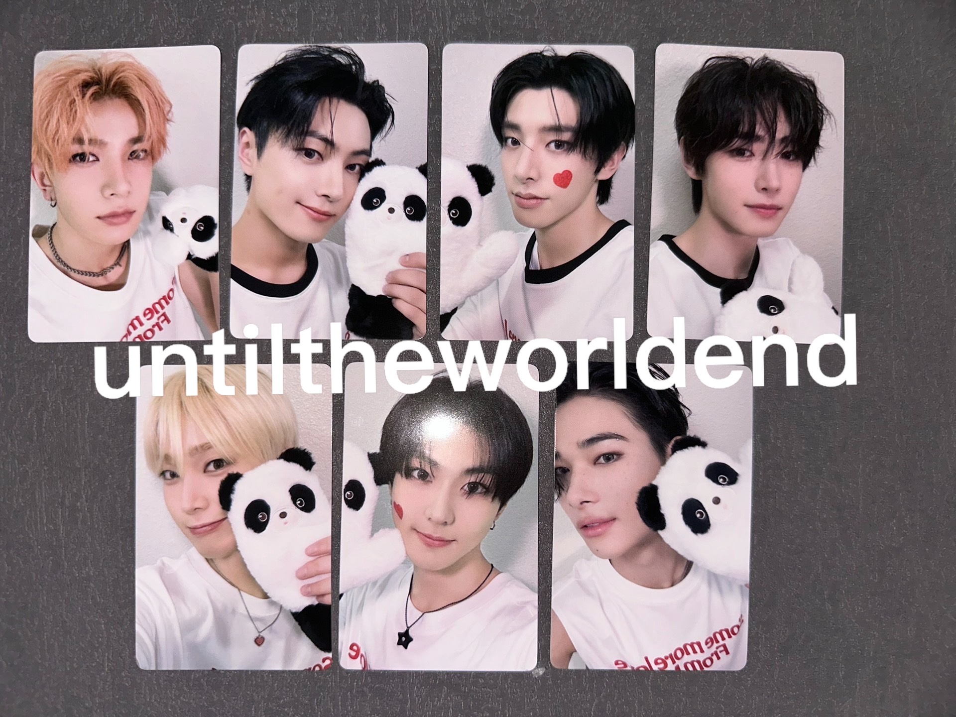 公式 ENHYPEN yzy パンダ 特典トレカ DARK BLOOD mini4 公式グッズ 写真 全員7枚セット