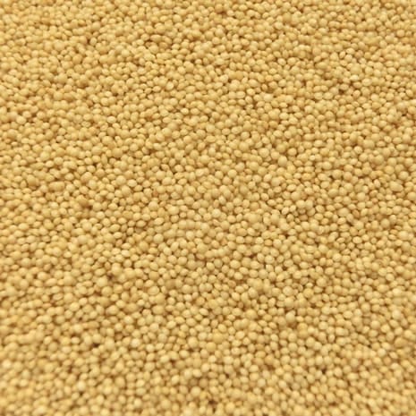 アマランサス インド産 業務用 20kg (10kgx2)