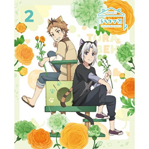 うちタマ! うちのタマ知りませんか2(完全生産限定版) ／ うちタマ! うちのタマ知りませんか (DVD) ANZB-13713