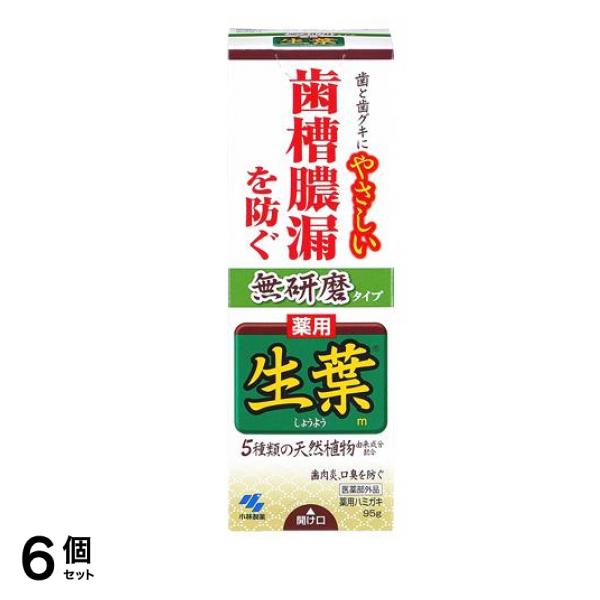 生葉(しょうよう)無研磨タイプ 95g 6個セット