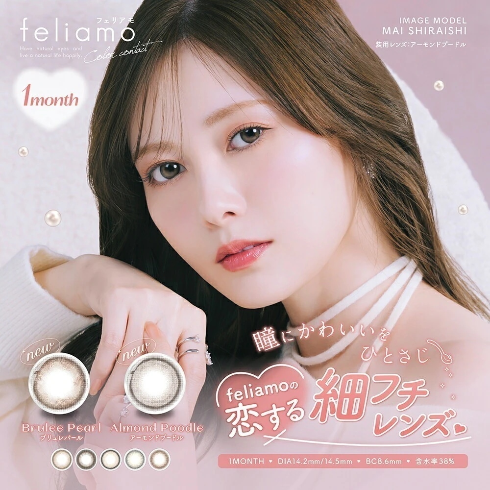 フェリアモ ワンマンス 6箱（1箱2枚入）feliamo マンスリー 白石麻衣 送料無料・ポスト便