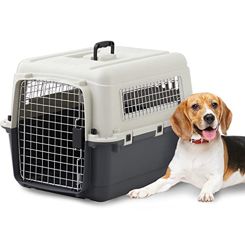 サイズ：L70 【OFT】 ペットケンネル ファーストクラス L70 【外寸】幅50*奥67.5*高