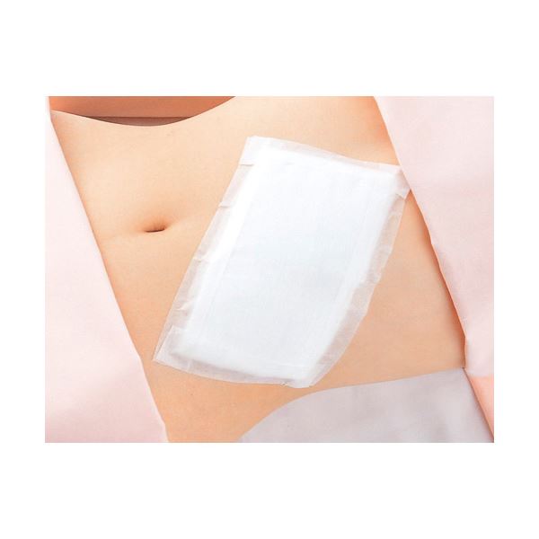 （まとめ） ニチバン サージカルテープ・ハダ STH25(×5セット)