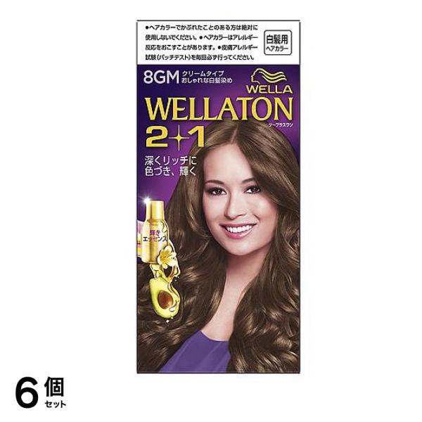 トーン2+1(ツープラスワン) クリームタイプ 8GM より明るいマットブラウン 1個 6個セット