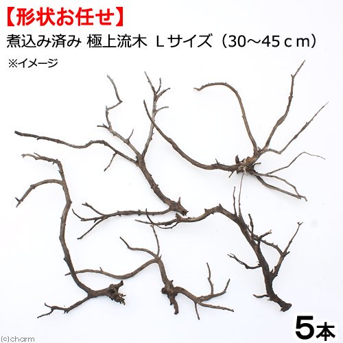 煮込み済み　極上流木　Ｌサイズ　約３０ー４５ｃｍ　５本　形状お任せ　アクアリウム　レイアウト素材　流木　枝状　ＣＲＣ21―10―40―30―00