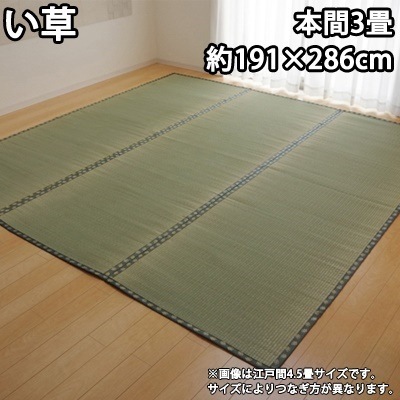 イケヒコ 純国産 い草 上敷き カーペット 双目織 『松』 本間3畳（約191286cm） 1113383【送料無料】