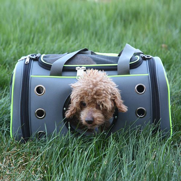 小型犬 猫 ウサギ キャリーバッグ カプセル ペットキャリー ペットバッグ 通気性 旅行 通院 災害 ボストンバッグ 折りたたみ式 ペットハウス