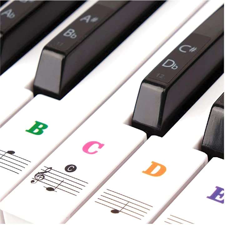 49 61 76 鍵盤対応 ピアノシール ピアノステッカー 音符ガイド 初心者 大好評です 音符シール カラフル キーボード 練習