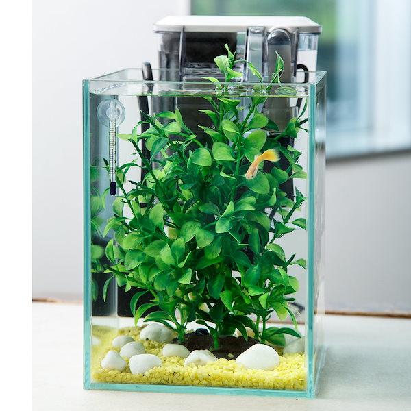 Qoo10] （熱帯魚）飼育セット グッピーセット ｇ