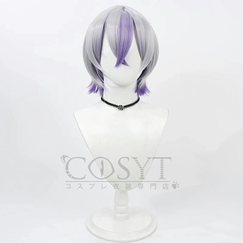 刀剣乱舞 とうらぶ 新刀剣男士 打刀 大慶直胤 コスプレウィッグ フルウィッグ 耐熱 高級繊維 メッシュ コスプレ cosplay