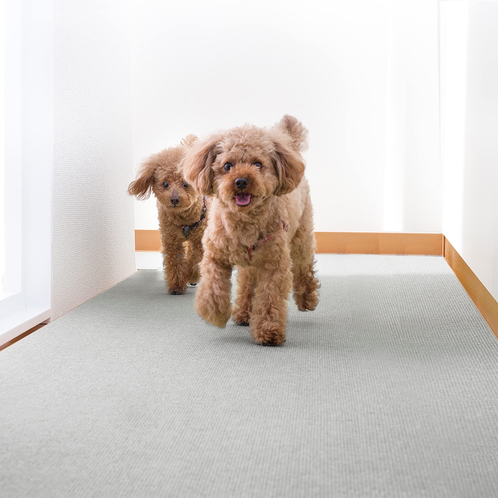 即日発送 サンコー 廊下敷き マット カーペット はっ水 消臭 日本製 おくだけ吸着 ロングマット 90×300cm ライトグレー KP-48