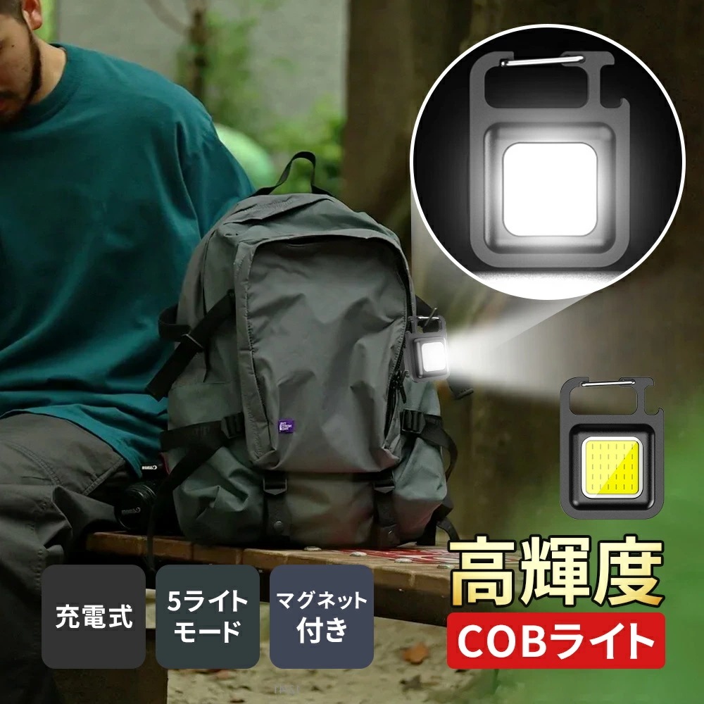 懐中電灯 ライト ミニライト 2個セット ミニ投光器 TypeC 作業灯 投光器 充電式 高輝度 マグネット式 USB充電 屋外 防水 小型 ライト ハンディライト 800ルーメン カラビナ 栓抜き