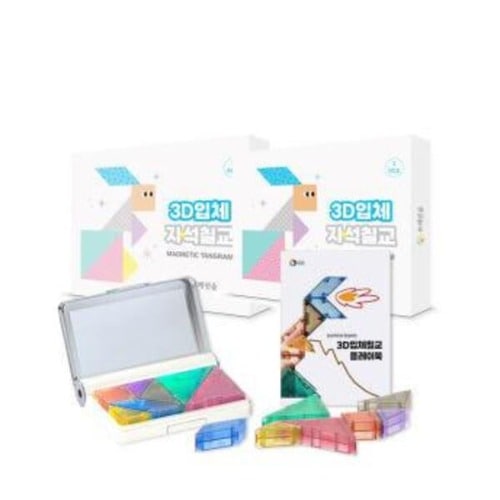 3Dマグネット立体七橋遊び2段階ブレインフォレスト学校学習教区団体