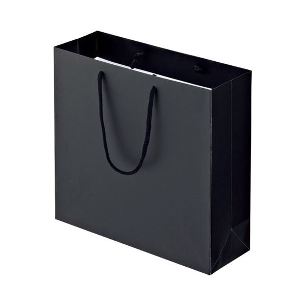 （まとめ） TANOSEE マットコート手提げ袋 M ヨコ320タテ300マチ幅110mm ブラック 1パック（10枚） 10セット