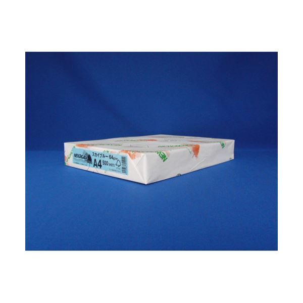 （業務用セット） 北越紀州 NEWファインカラー A4判 NEW ファインカラー A4 スカイブルー 500枚入 2セット