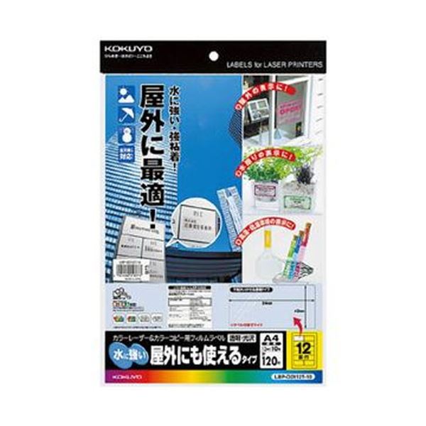 クラシック 北越コーポレーション 紀州の色上質菊四(317468mm)T目 1