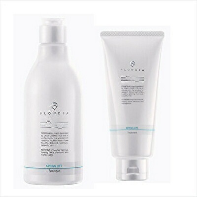 【2点セット】デミ フローディア スプリングリフト シャンプー 250ml ＋トリートメント200g DEMI FLOWDIA サロン うねり ダメージケア BC-T V-1